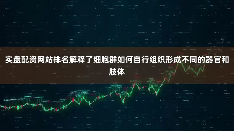 实盘配资网站排名解释了细胞群如何自行组织形成不同的器官和肢体
