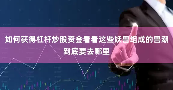 如何获得杠杆炒股资金看看这些妖兽组成的兽潮到底要去哪里