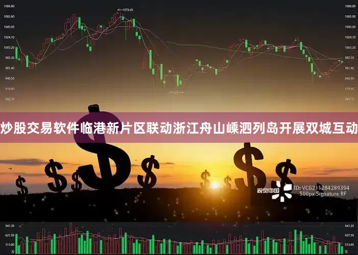 炒股交易软件临港新片区联动浙江舟山嵊泗列岛开展双城互动